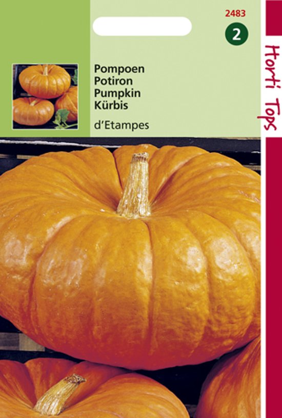 Pumpkin Red Etampes (Cucurbita maxima) 10 seeds HT